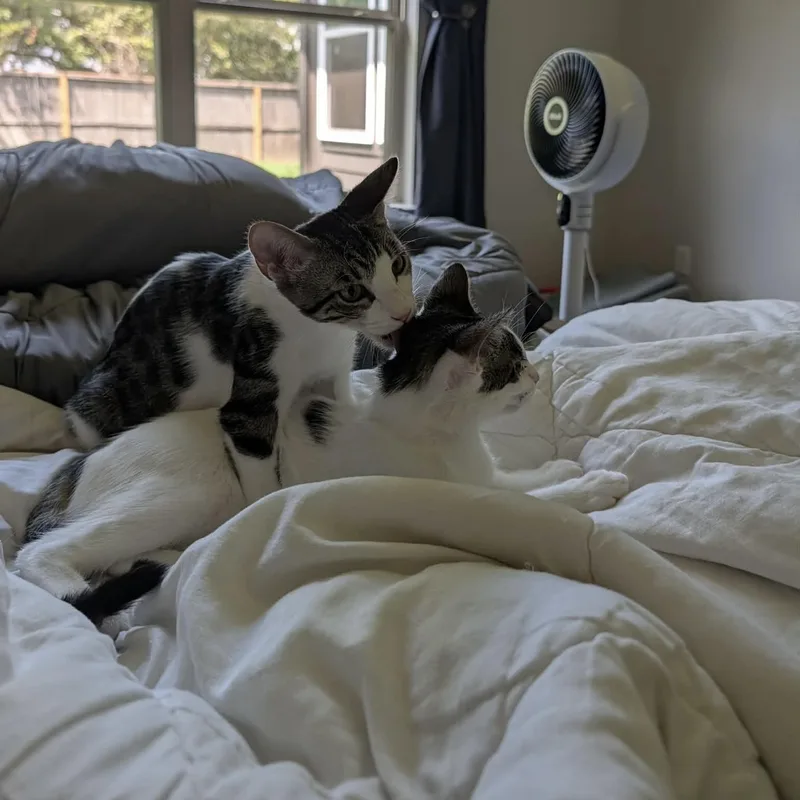Tucker & Baby Mia thumbnail 6