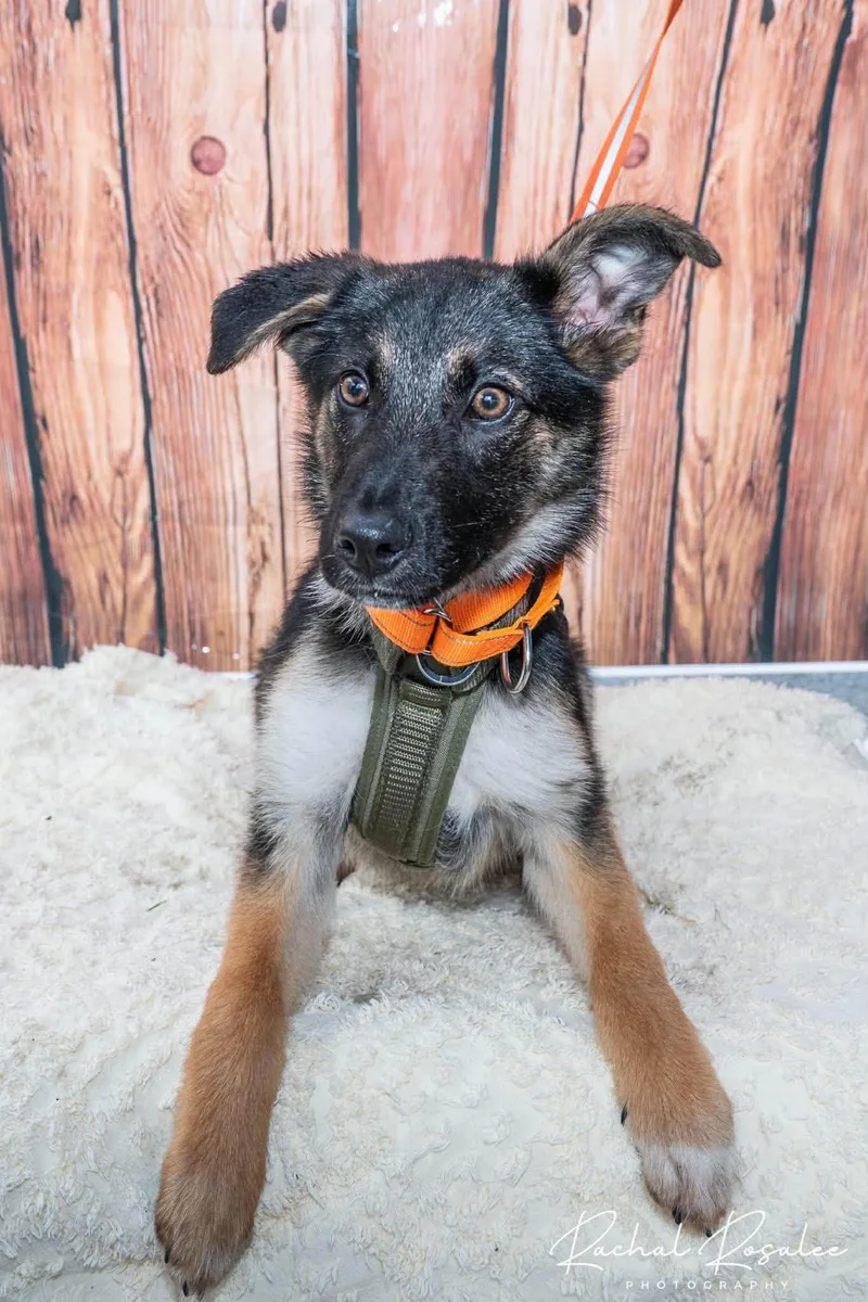 Max