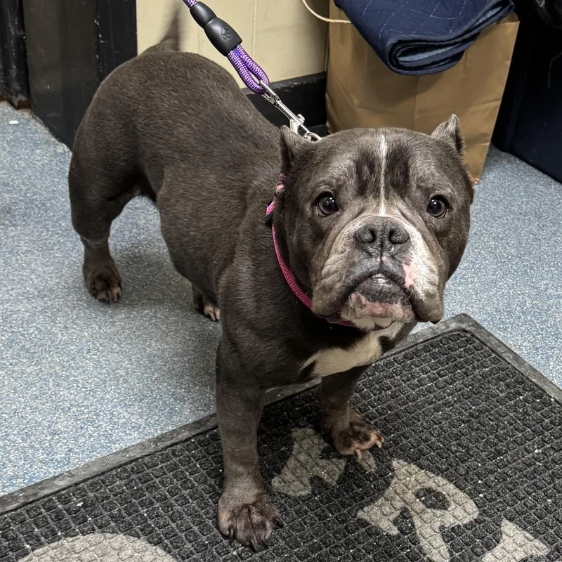 Meet Riley! Sweet Female