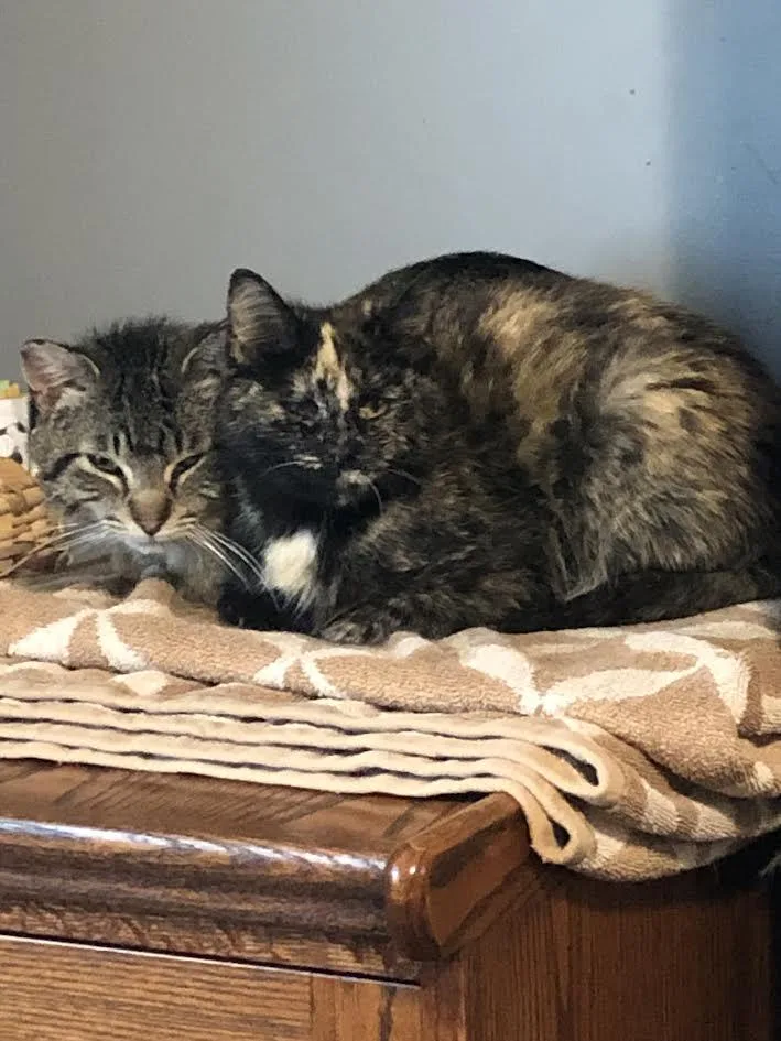 Kirby And Katie thumbnail 3