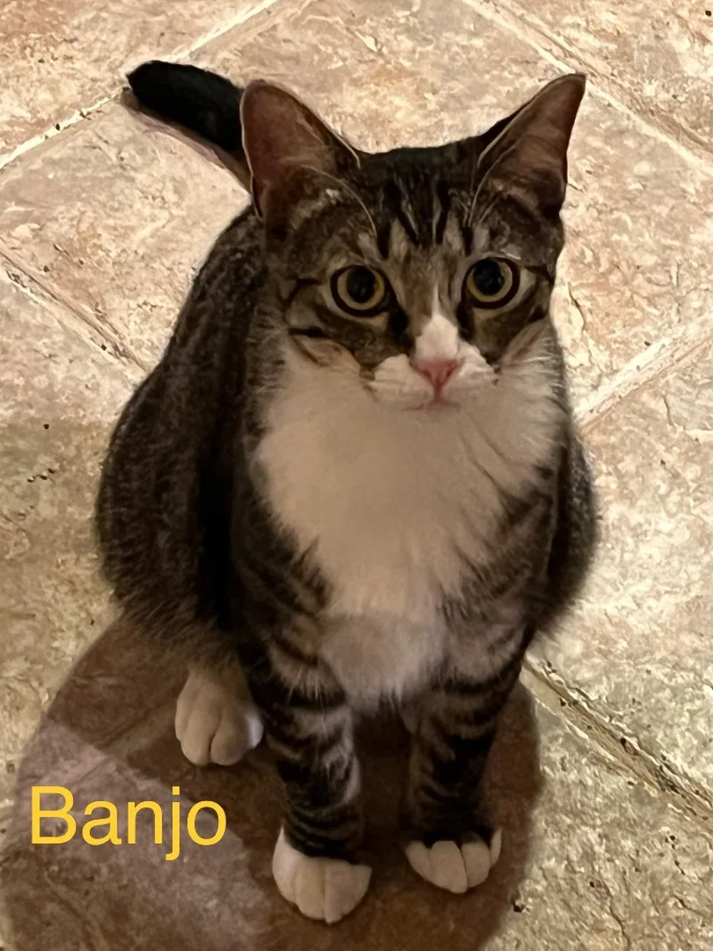 Banjo thumbnail 2