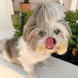 Samantha thumbnail 3