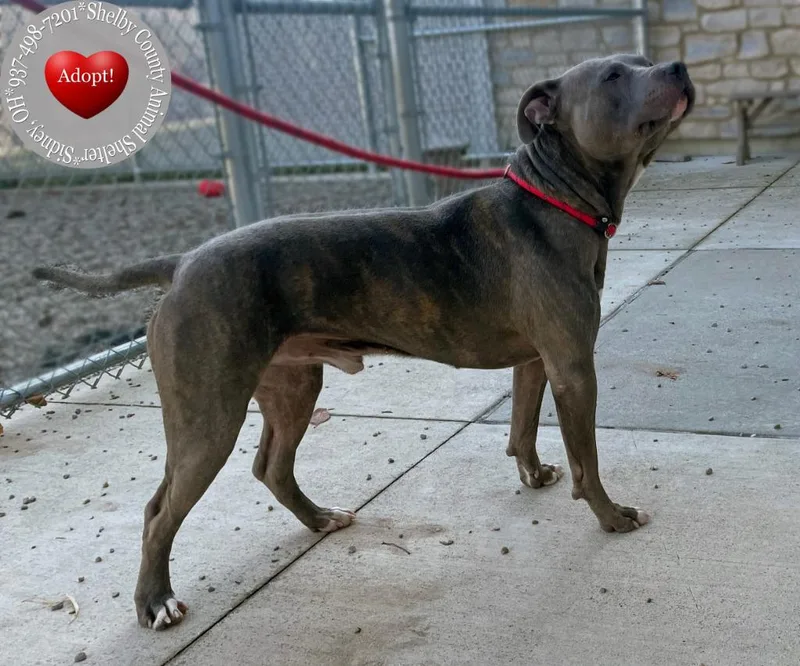 Bane Yrly thumbnail 6