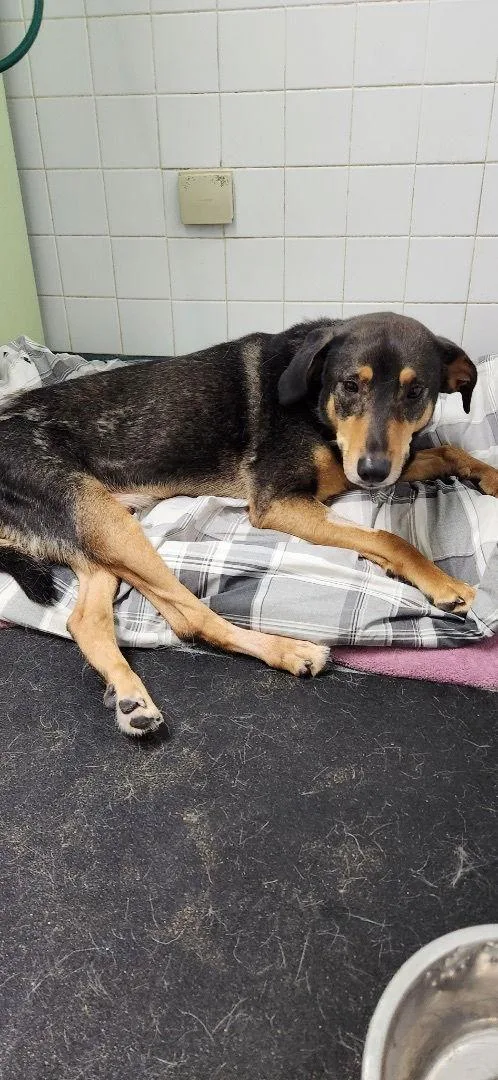 Smithspecial Needs thumbnail 2