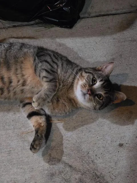 Oliver