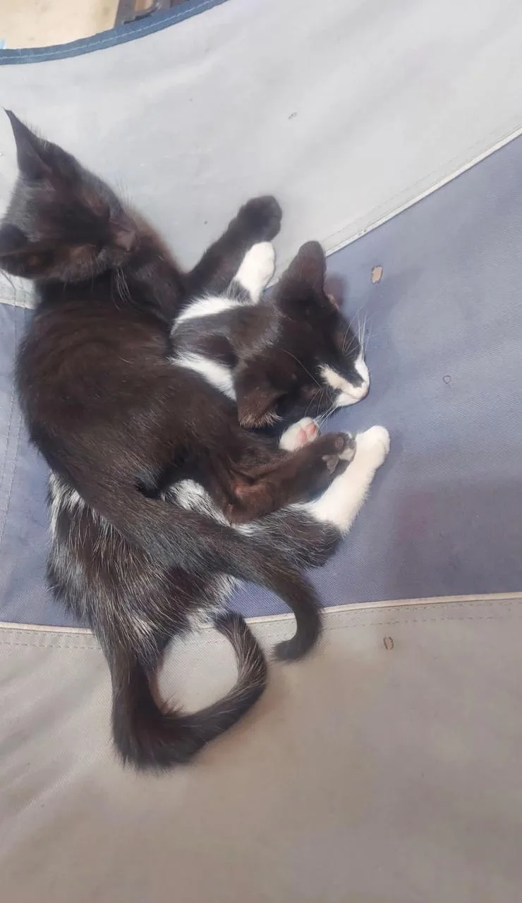 Von & Beauford thumbnail 5