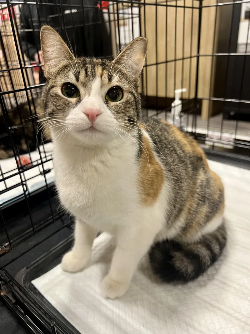 Megan And Penny thumbnail 3