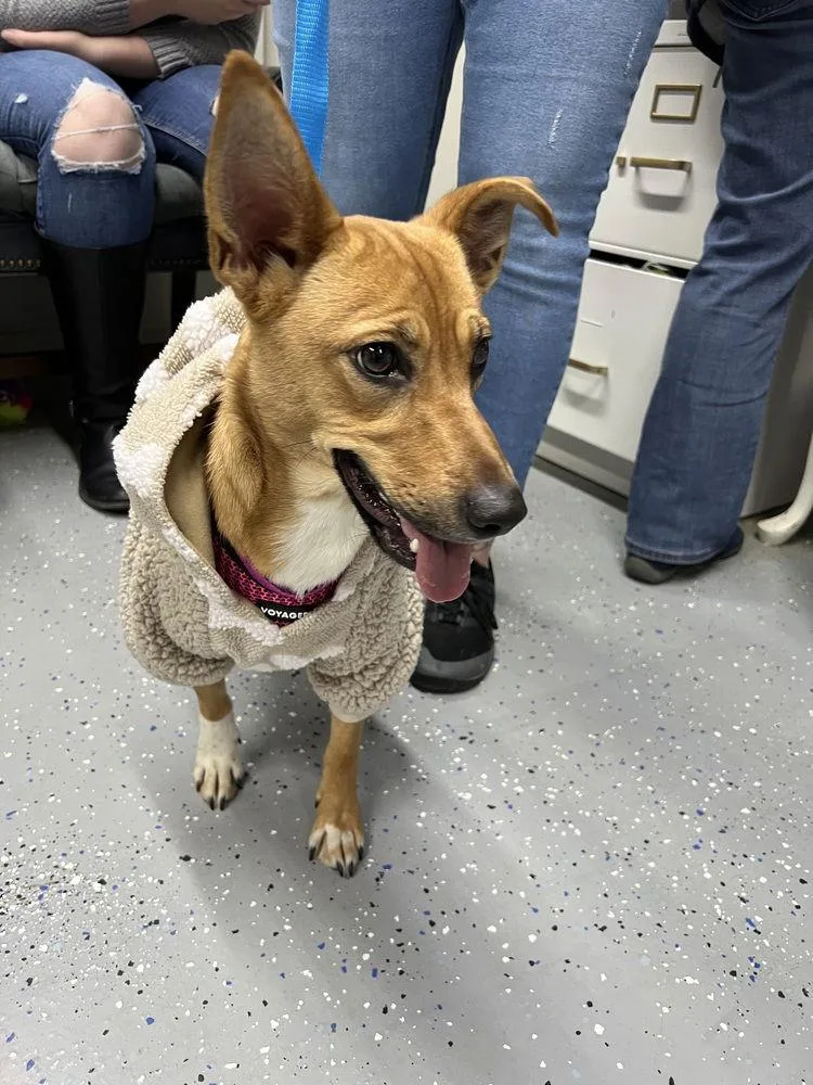 Precious~ thumbnail 2