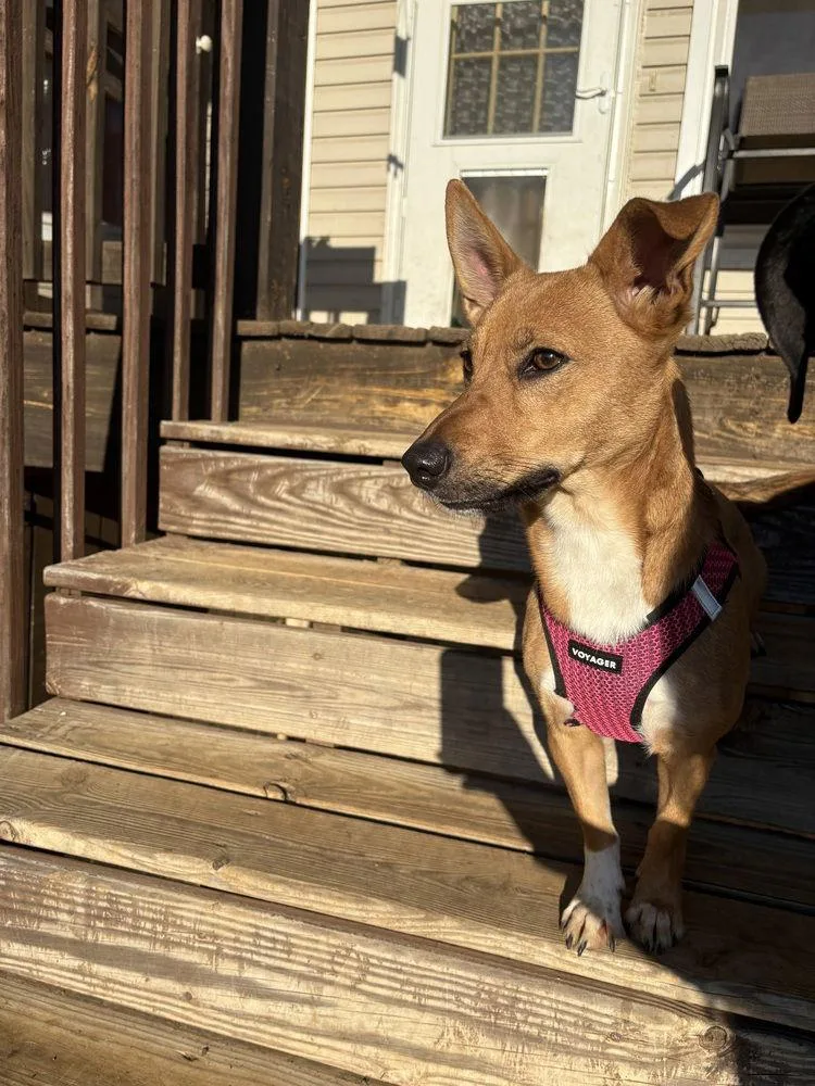 Precious~ thumbnail 3