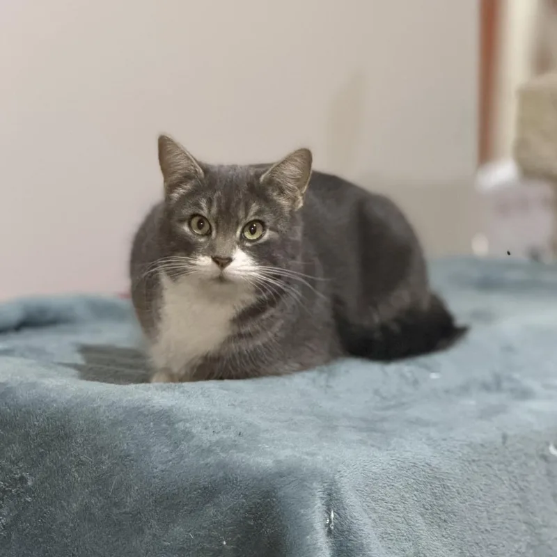 Tabitha Meet Me At thumbnail 2