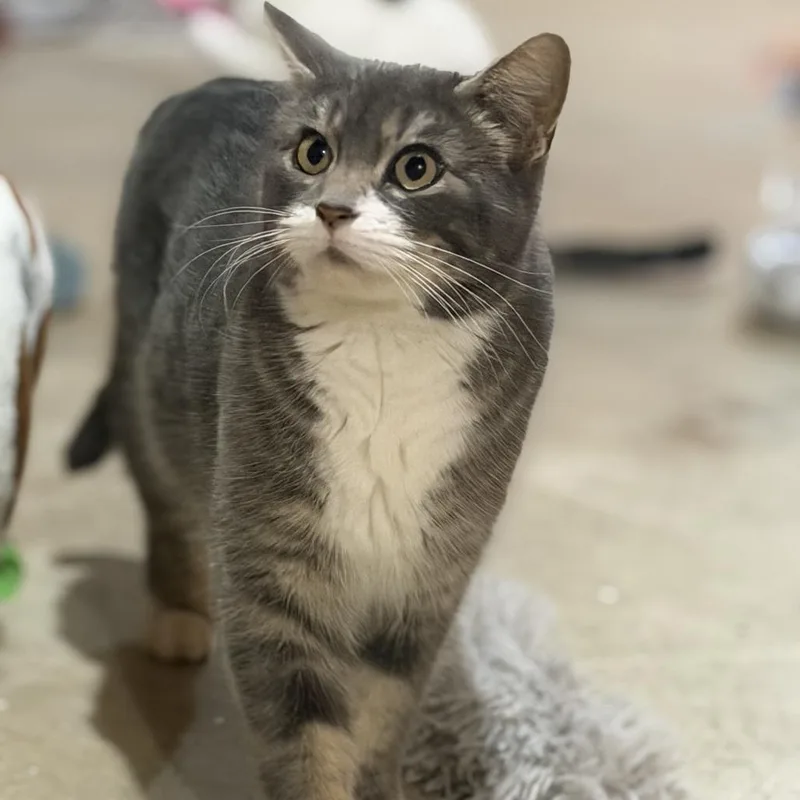 Tabitha Meet Me At thumbnail 3