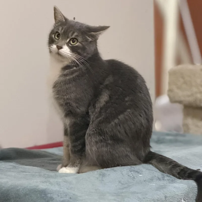 Tabitha Meet Me At thumbnail 4