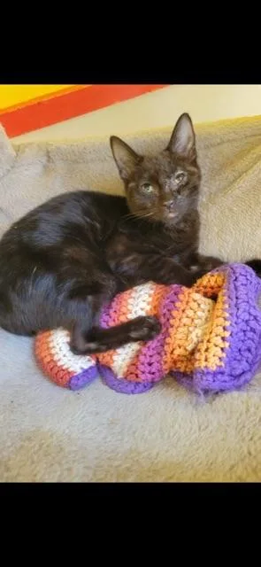 Cumulus! thumbnail 2