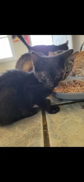 Cumulus! thumbnail 5