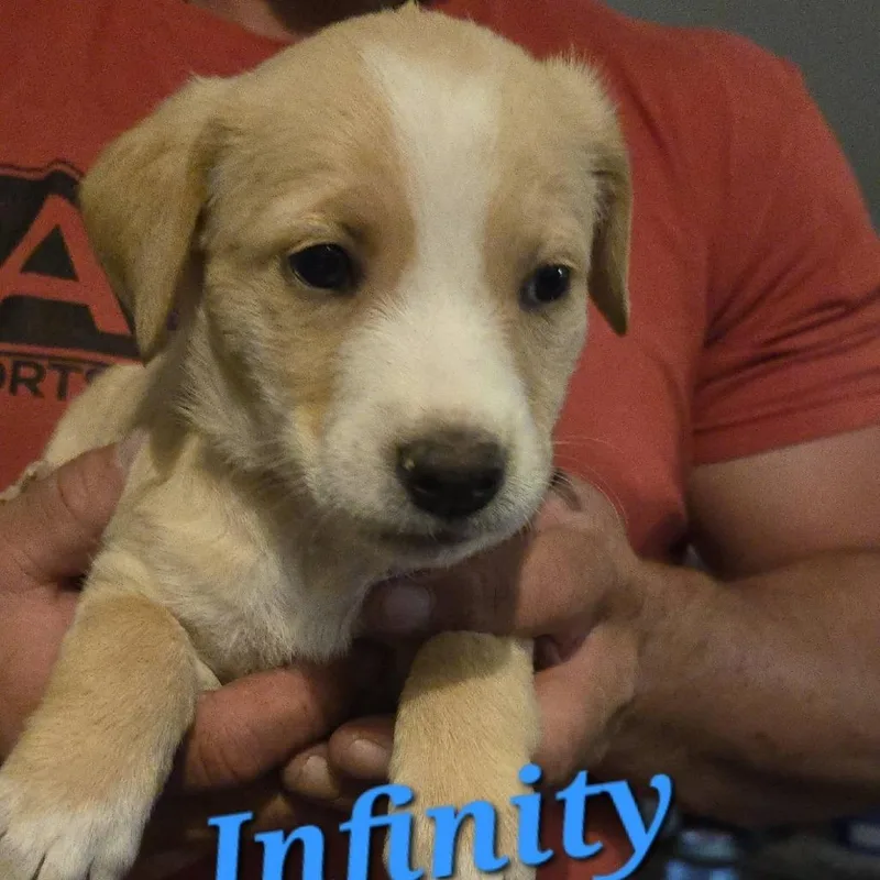 Infinity