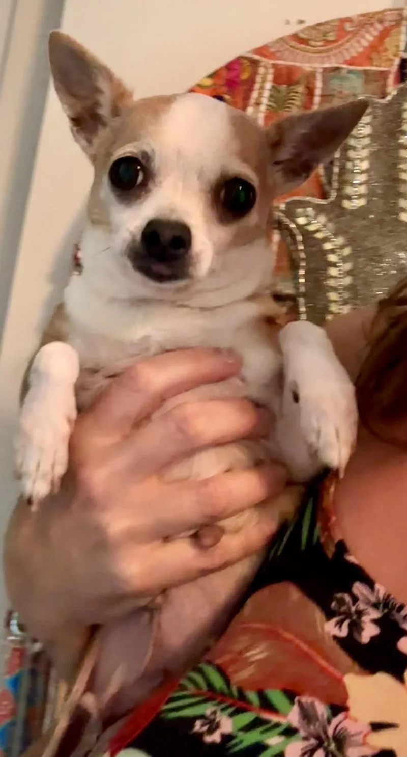 Mable