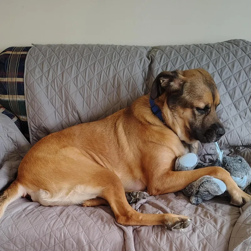 Tallulah thumbnail 2