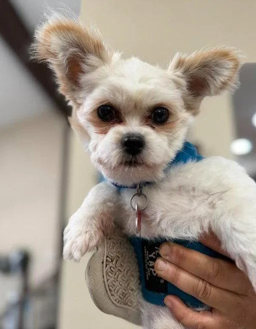 Sebastian