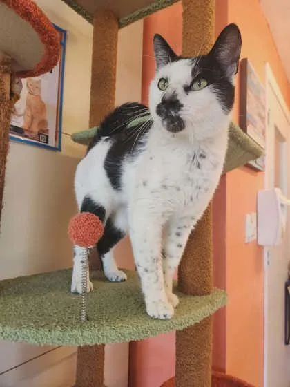 Patchwork thumbnail 3