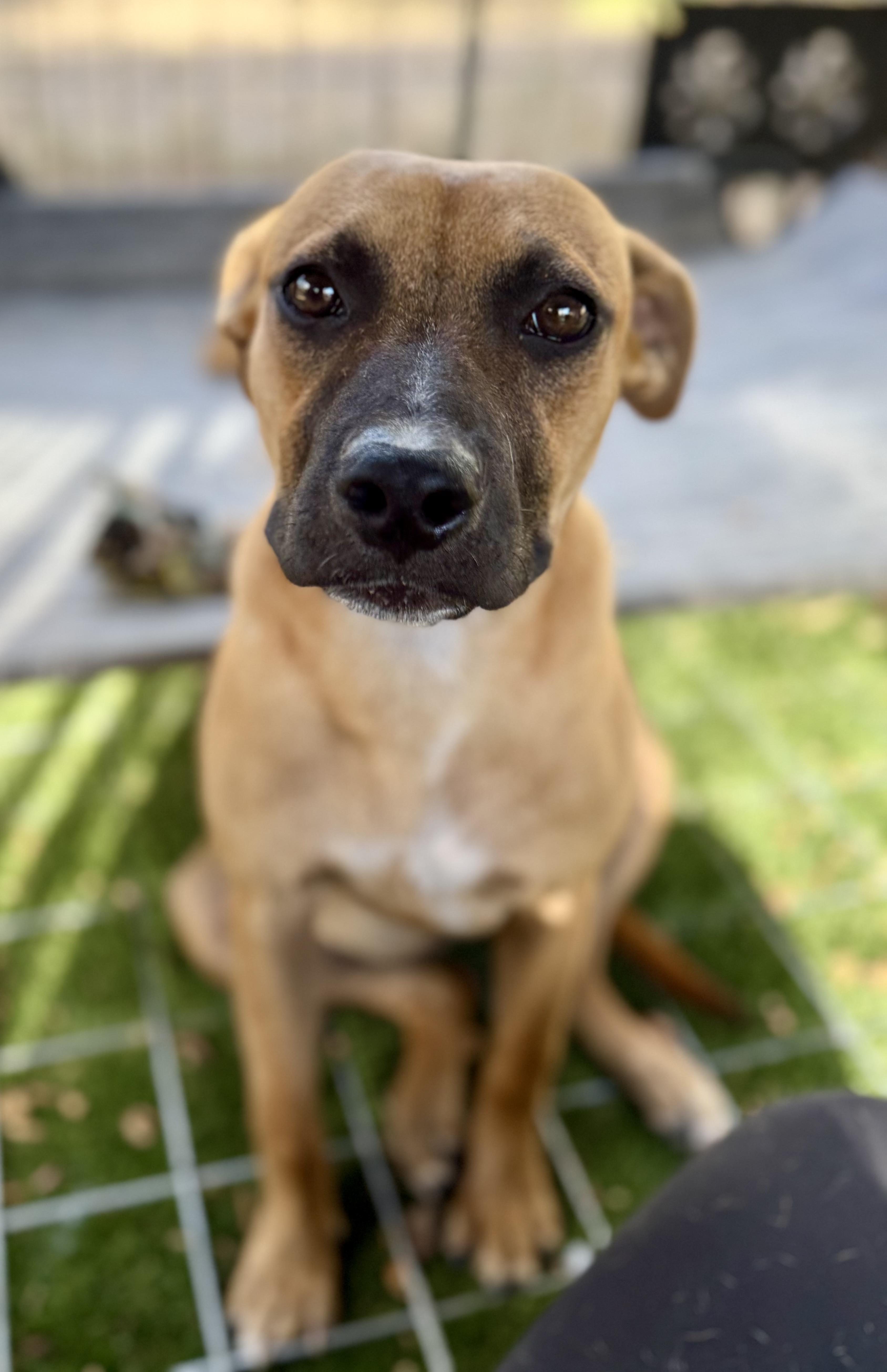 Scarlett thumbnail 3