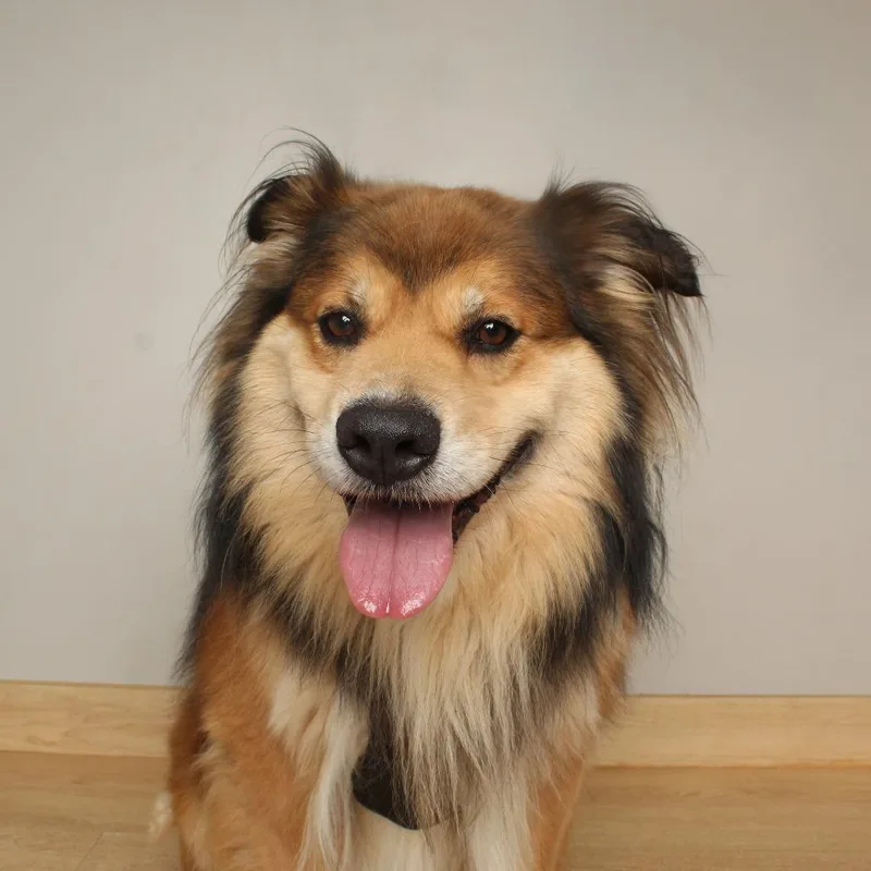 Bailey D thumbnail 2