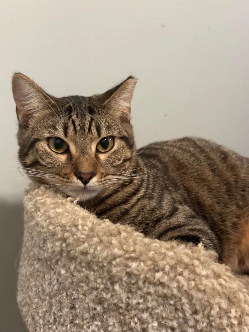 Linusand Lionel thumbnail 3