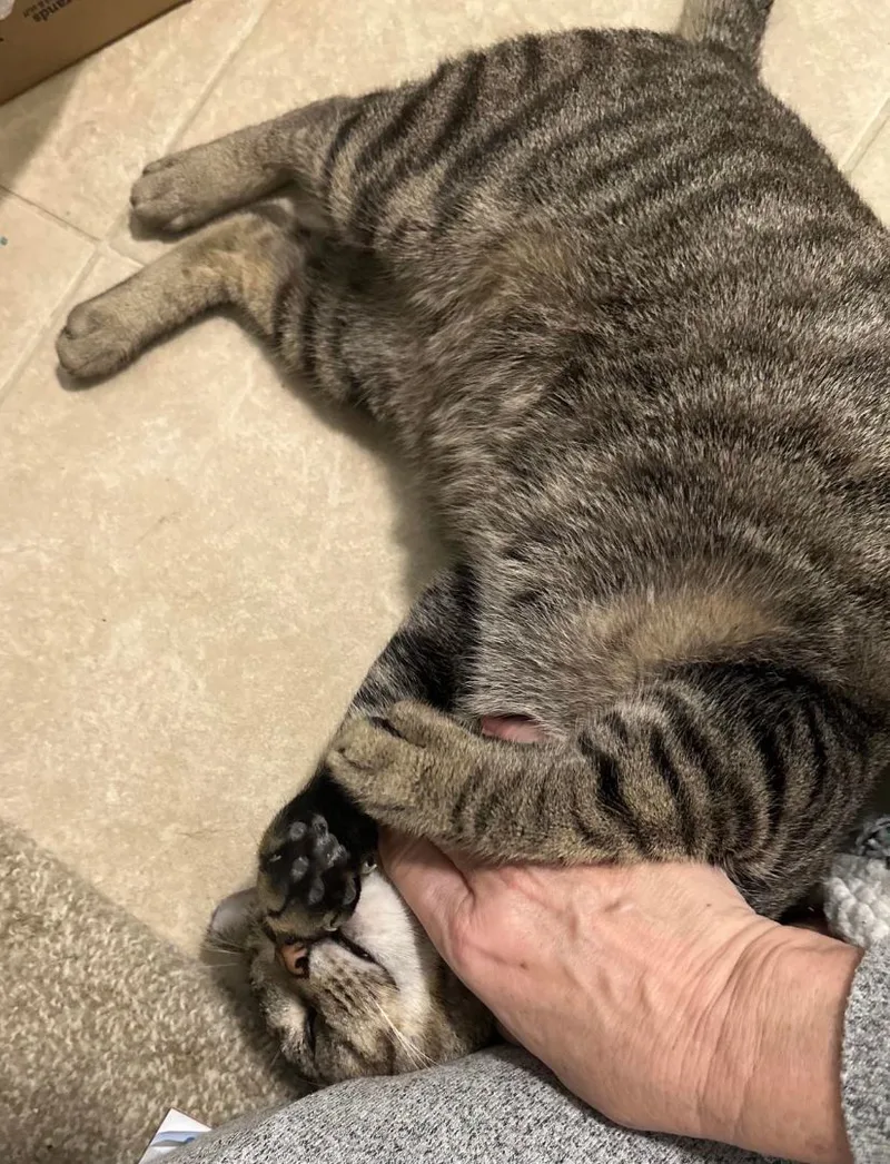 Linusand Lionel thumbnail 4