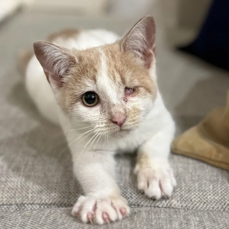 Champagne thumbnail 2