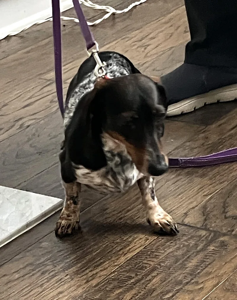 Rudy In Ga thumbnail 4