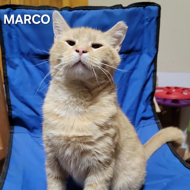 Marco thumbnail 2
