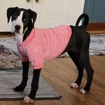 Millie thumbnail 2