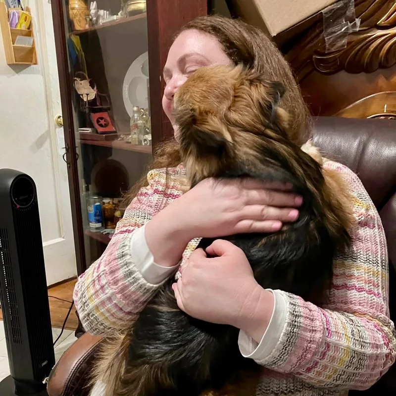 Tiramisu thumbnail 5