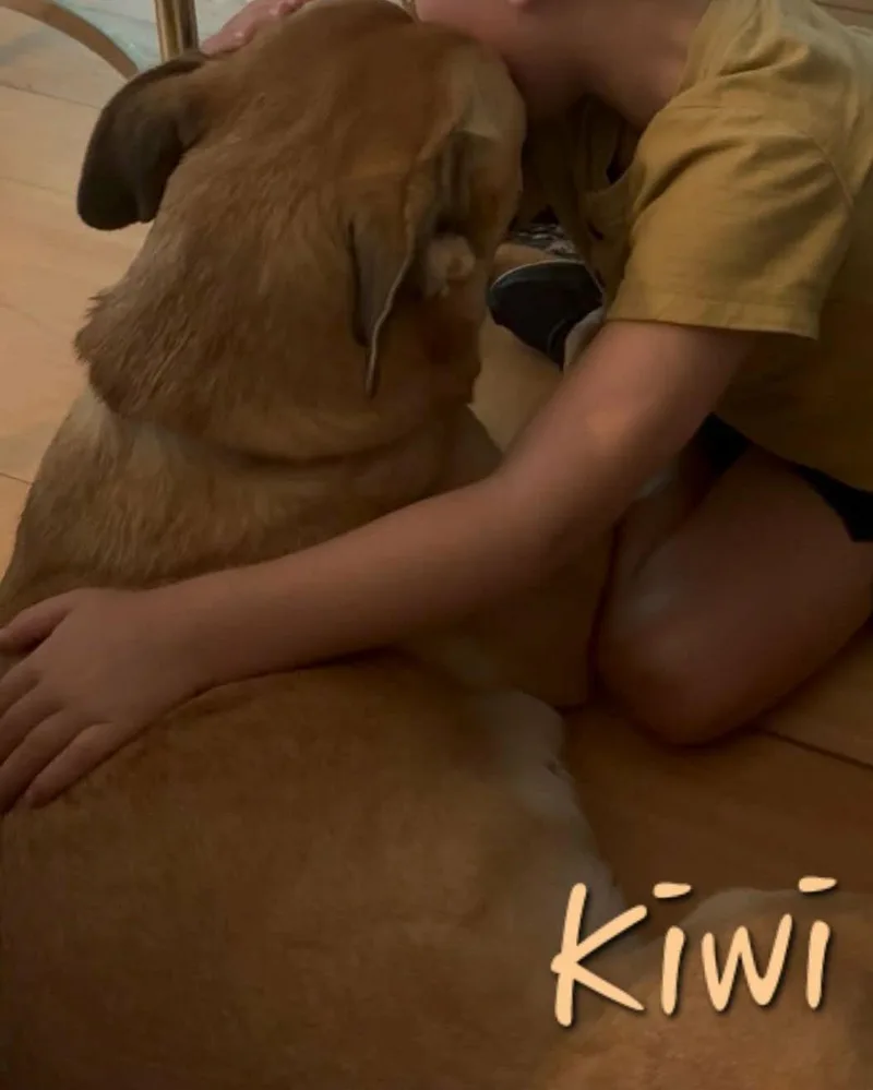 Kiwi thumbnail 5