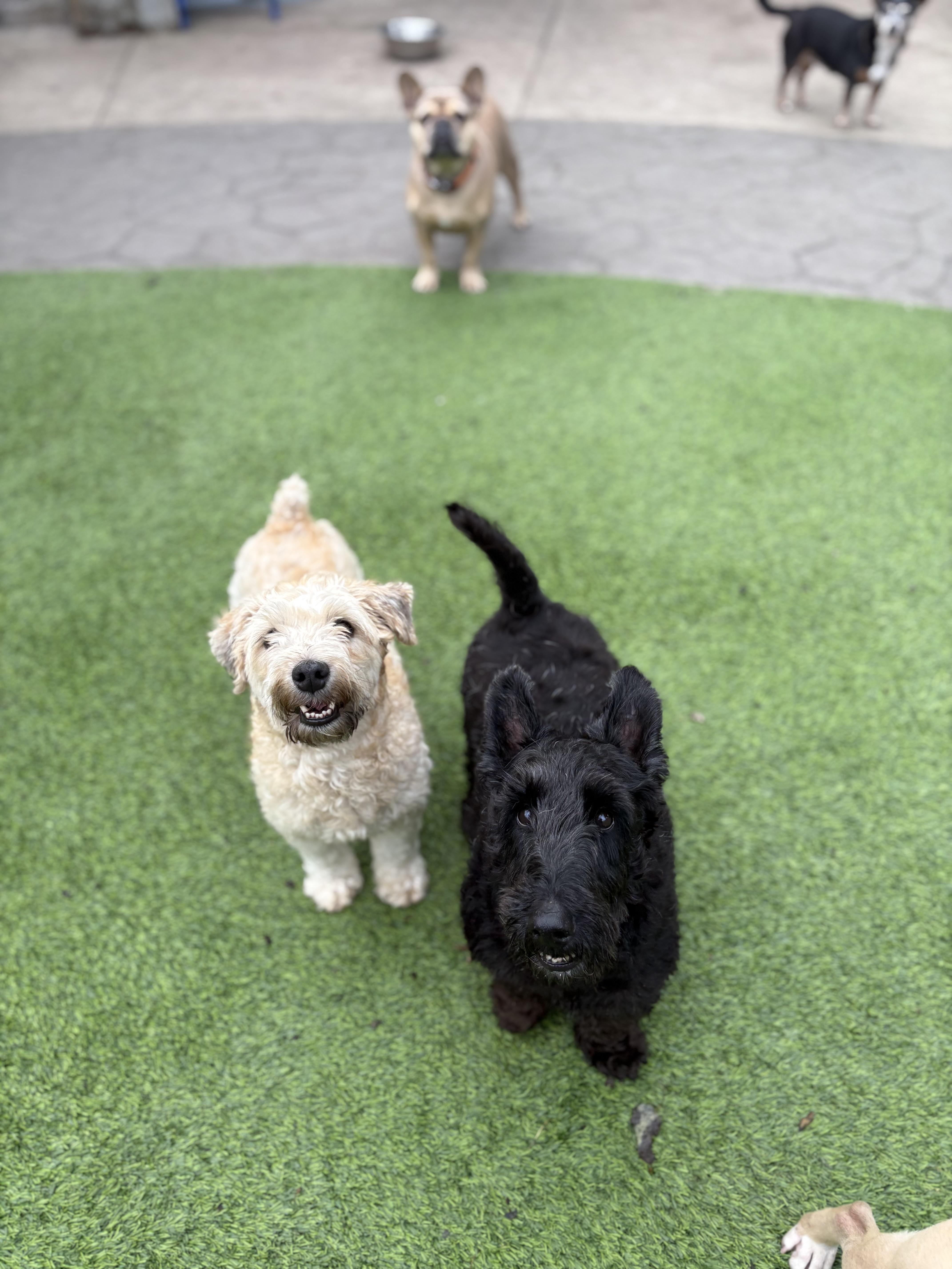 Doris and Hogan thumbnail 2