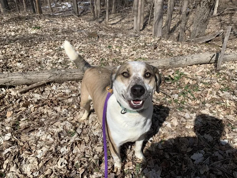 Marvelous Moe thumbnail 4