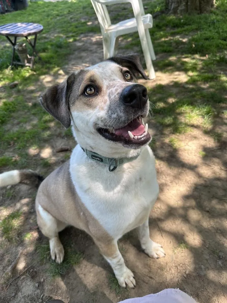 Marvelous Moe thumbnail 6