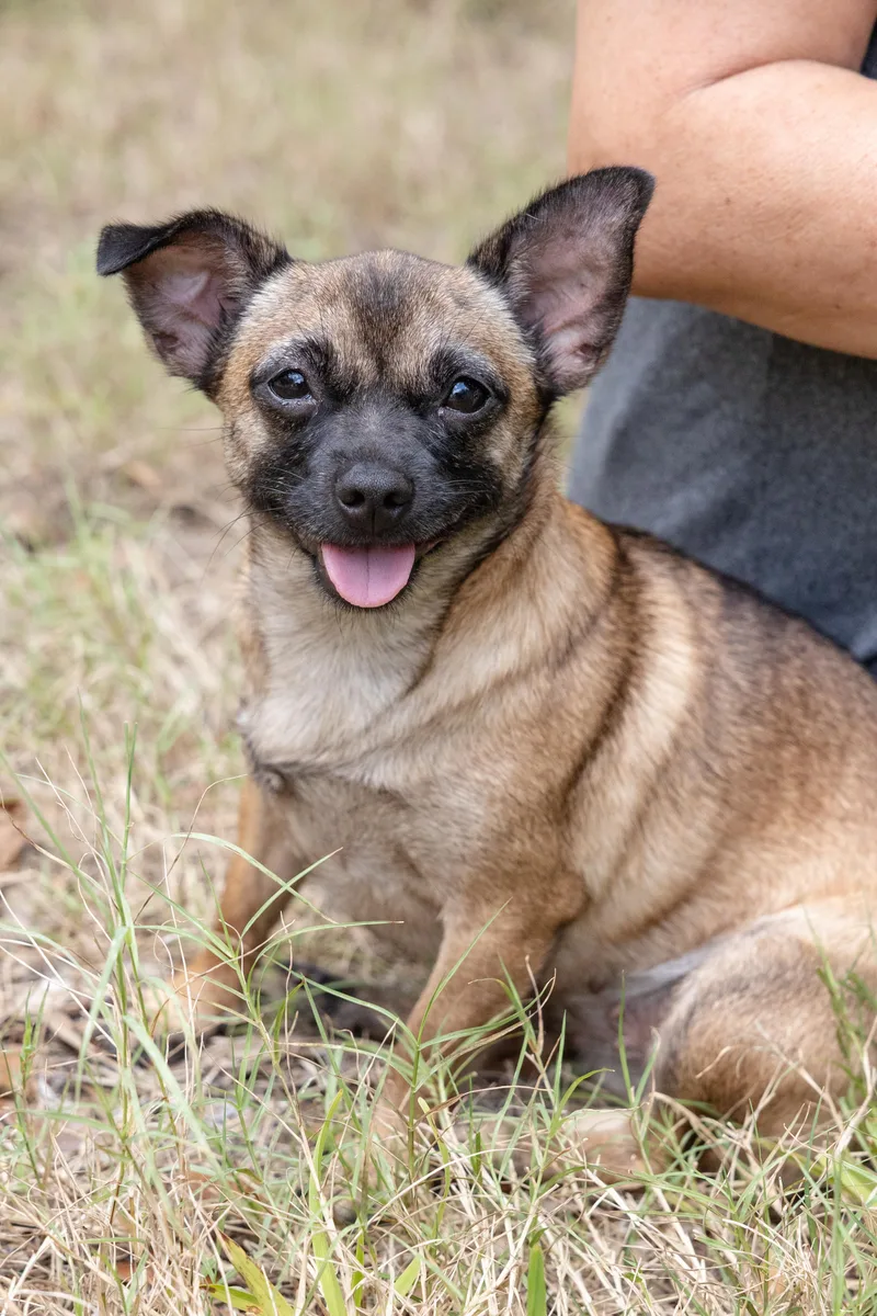 Tini