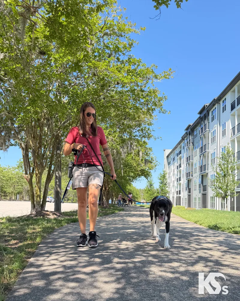 Zoomie thumbnail 5