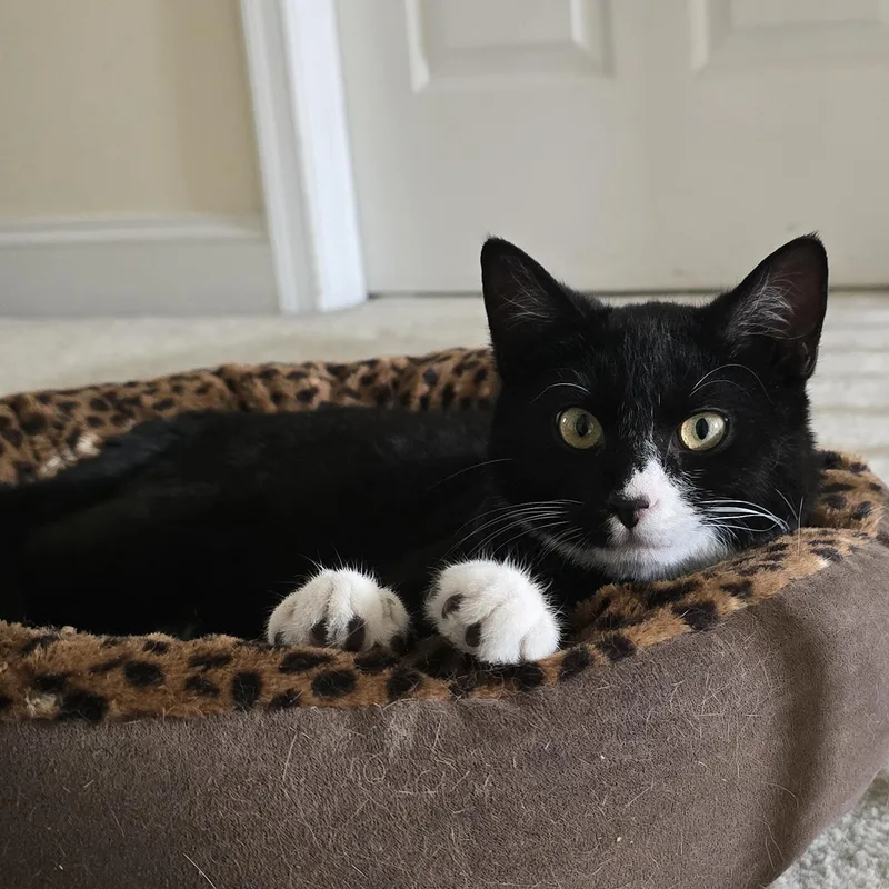 Fred & Ginger thumbnail 5