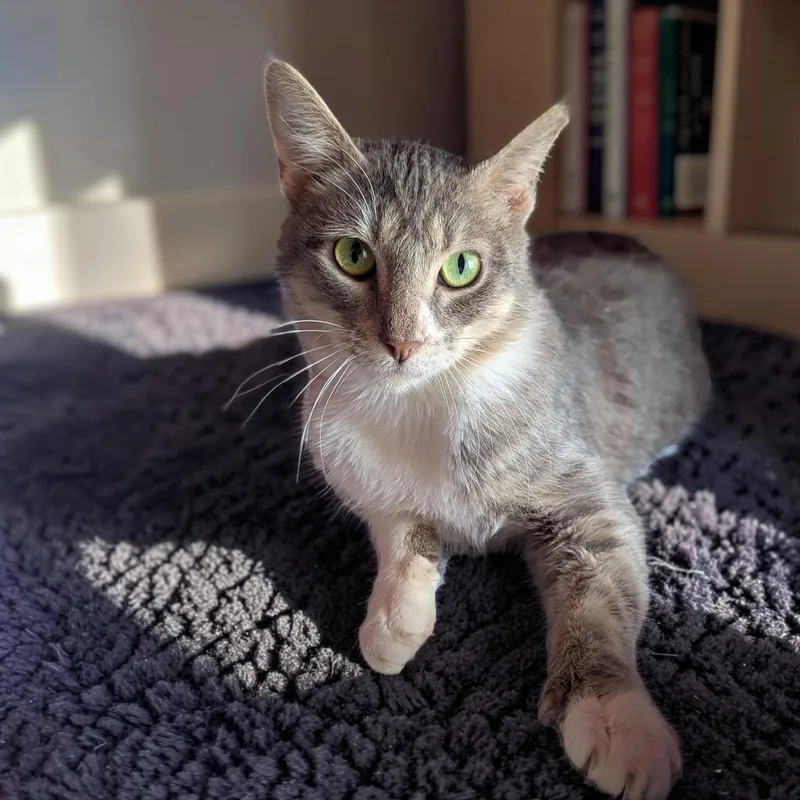 Greyson & Pippi thumbnail 3