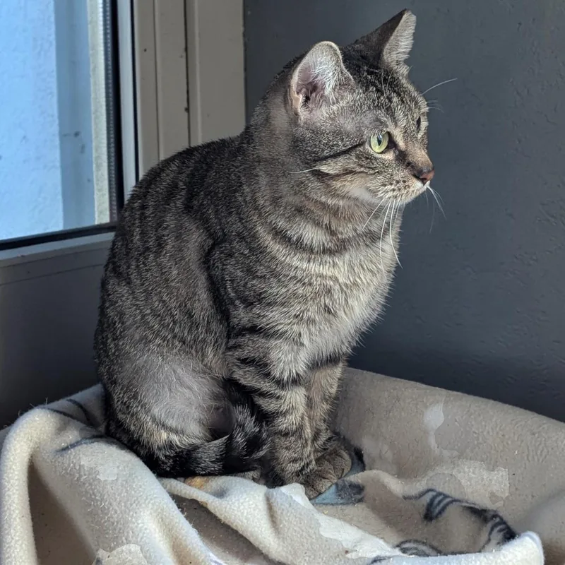 Greyson & Pippi thumbnail 4