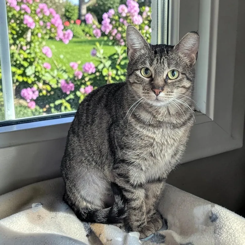 Greyson & Pippi thumbnail 6