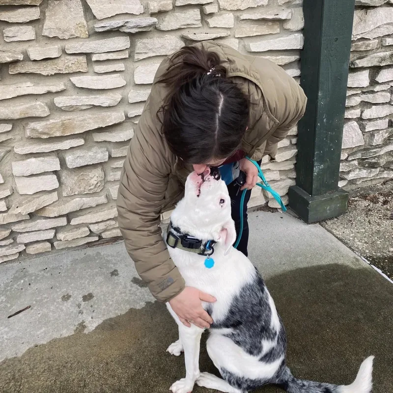 Shuggie  Jj Indianapolis thumbnail 2