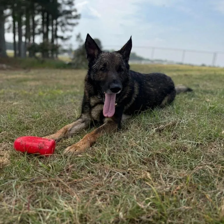 Major