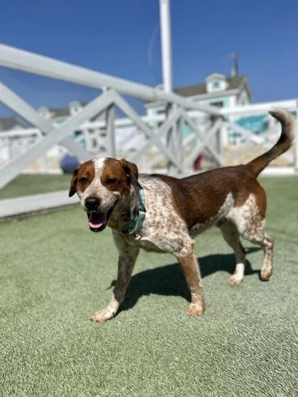 Pillsbury thumbnail 2