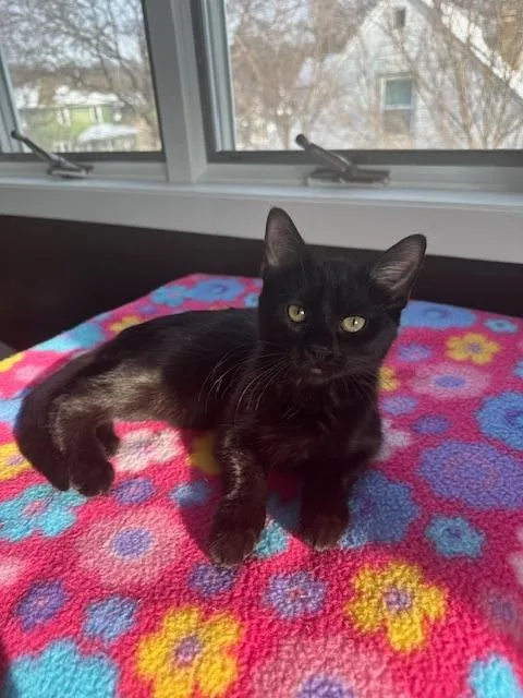 Billy  Zoey thumbnail 2