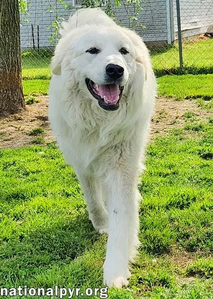 Newton In Ky 