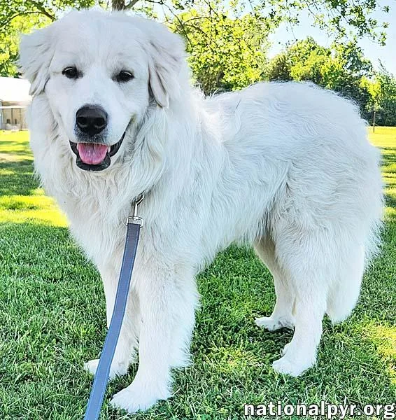 Newton In Ky  thumbnail 2