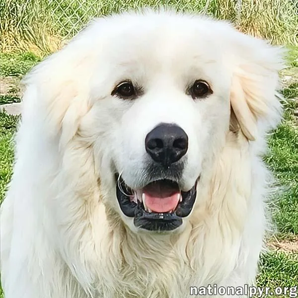 Newton In Ky  thumbnail 3