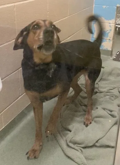 Lucy May thumbnail 2